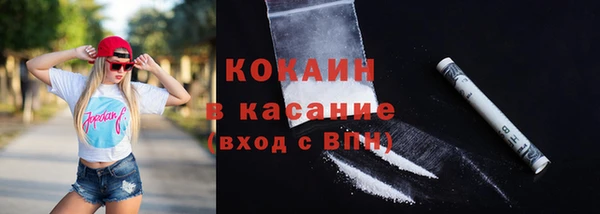 mix Инта