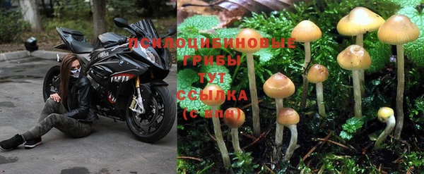 MESCALINE Иннополис
