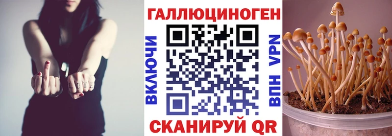 Купить  Сортавала  Галлюциногенные грибы GOLDEN TEACHER 